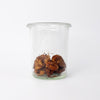 BBQ Medley Nuts